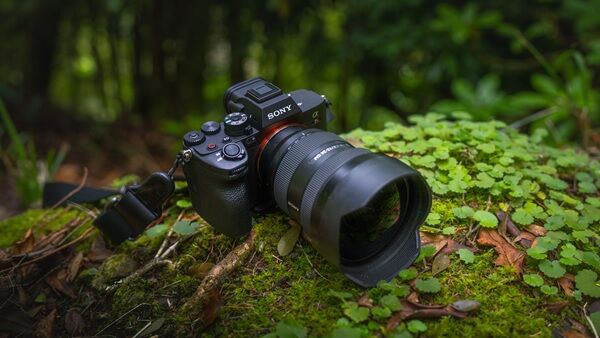 Sony introduceert de Alpha 7RV