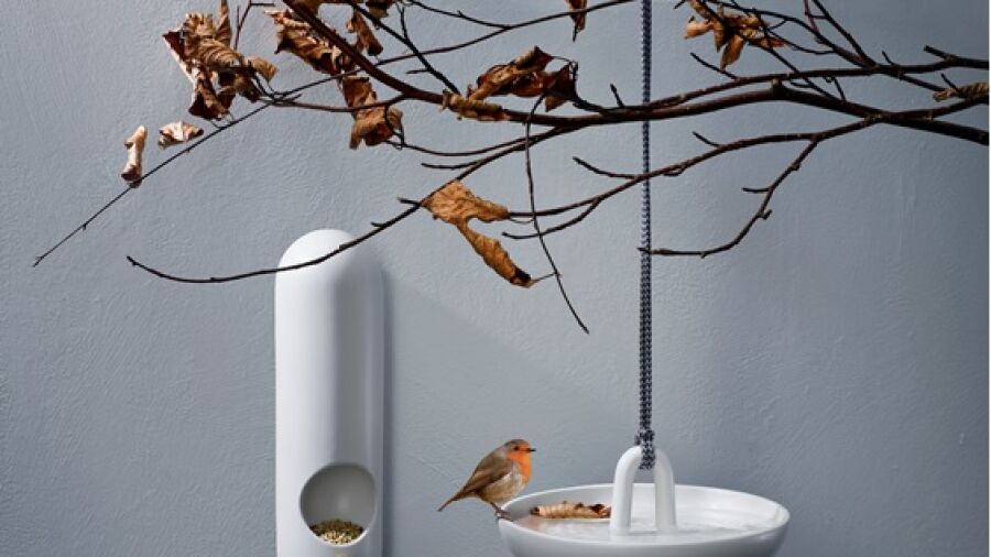 Help tuinvogels de winter door