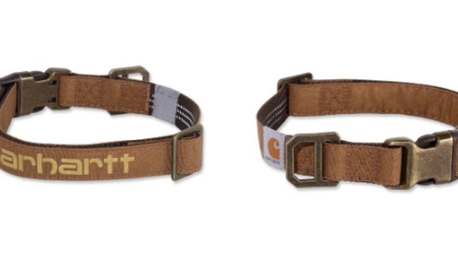Halsband voor stoere honden