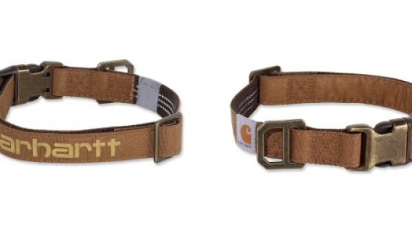 Halsband voor stoere honden