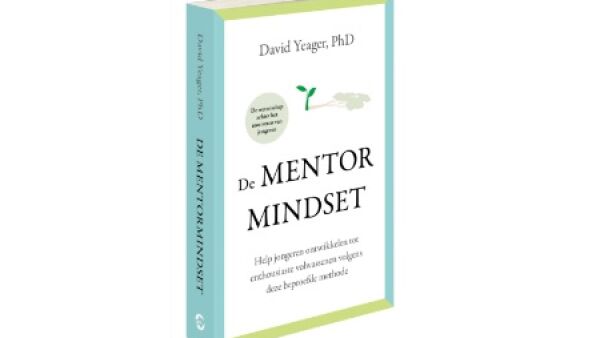 De mentormindset