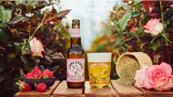 All You Need Is Love (Ale)