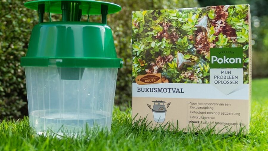 Bescherm de buxus