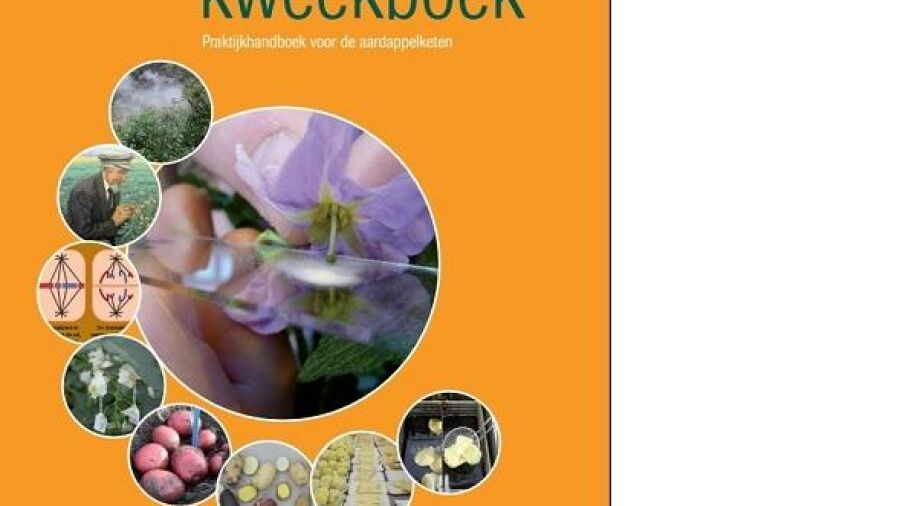 De geheimen van succesvolle aardappelveredeling onthuld