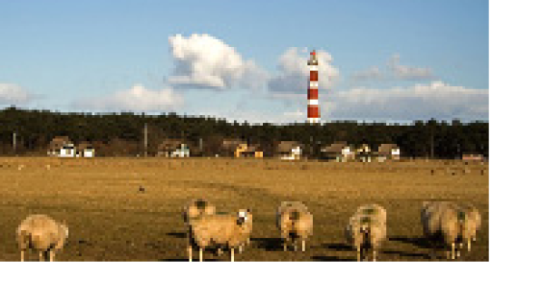 Reizen voor 55 plussers