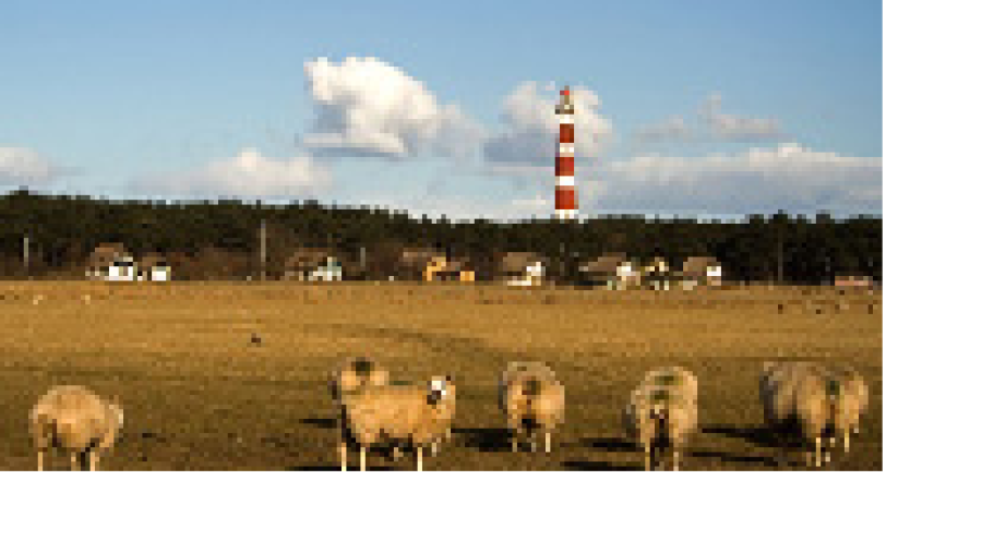 Reizen voor 55 plussers