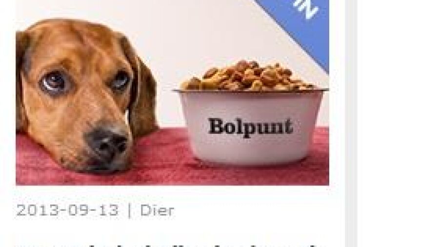 Bol.com roept baasjes op hun huisdier í¢äåìBolpuntí¢äåä¢ te noemen