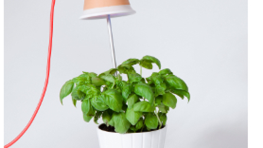 Bulbo: zonlicht in een lamp