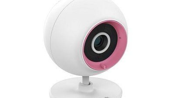 Huisdiercamera houdt onze harige, donzige, geschubde en geveerde vrienden in de gaten