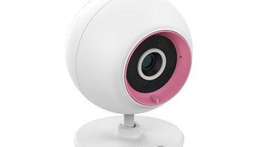 Huisdiercamera houdt onze harige, donzige, geschubde en geveerde vrienden in de gaten