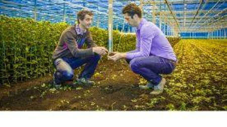 Nieuwe compostproducten