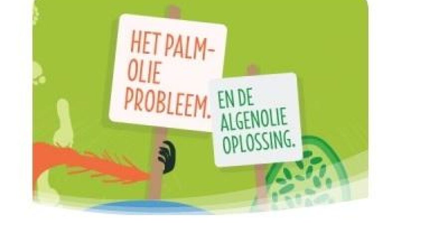 Eerste palmolievrije schoonmaakproduct in Europa