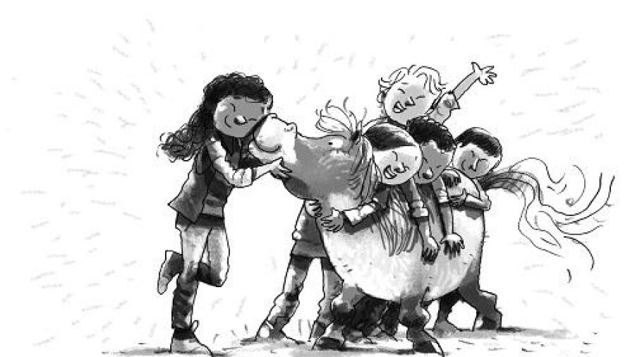 Een pony op drie hoog. Een nieuw avontuur van de DierenRidders