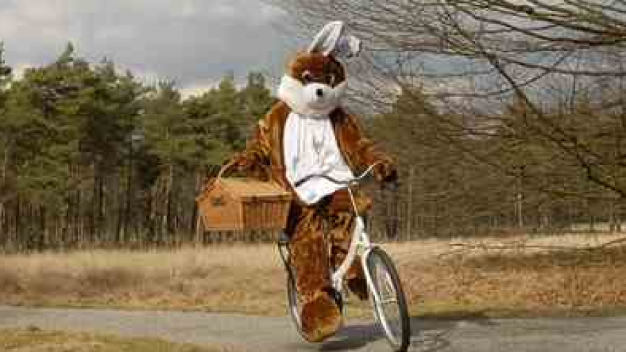 Paashaas gespot op witte fiets