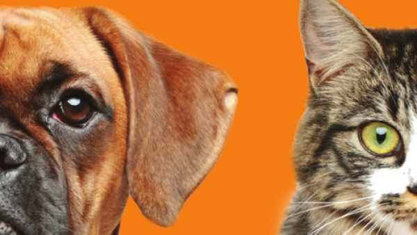 Natuurlijke voeding voor uw hond of kat