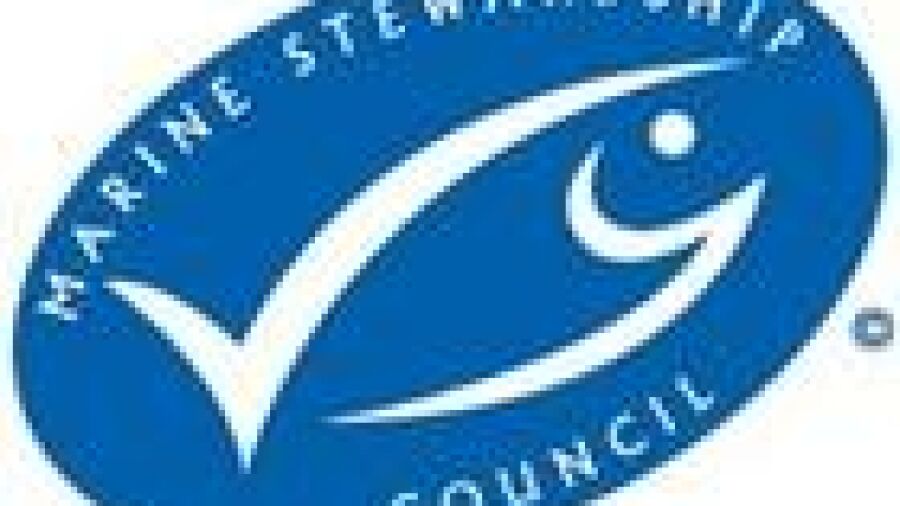 Marine Stewardship Council lanceert Duurzame Vangst Prijs
