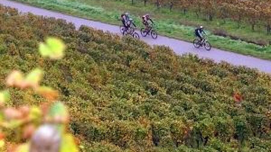Nieuwe fietsroute, la ví©loroute du vignoble