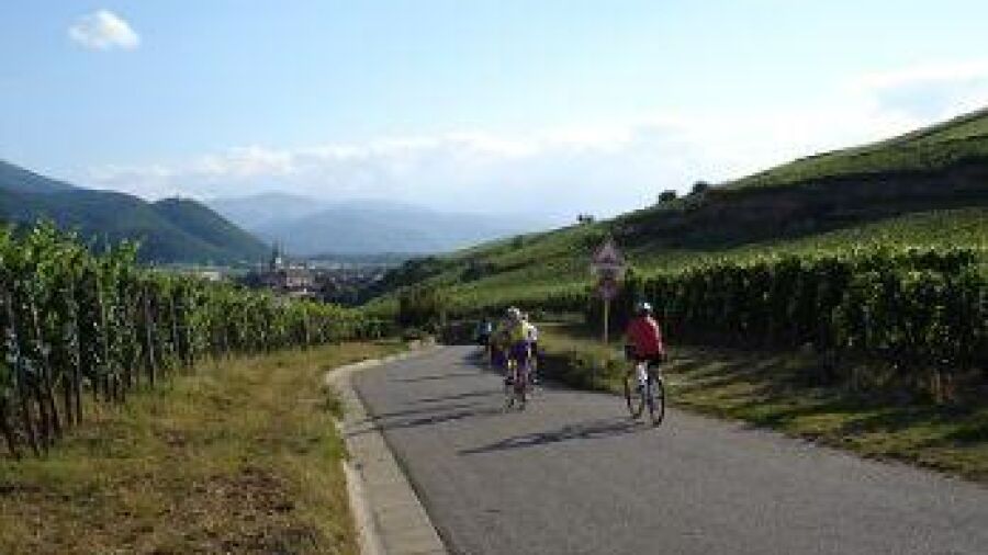 Fietsen in de Franse Elzas