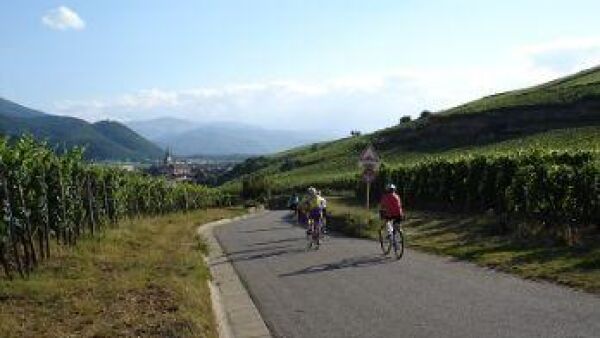 Fietsen in de Franse Elzas