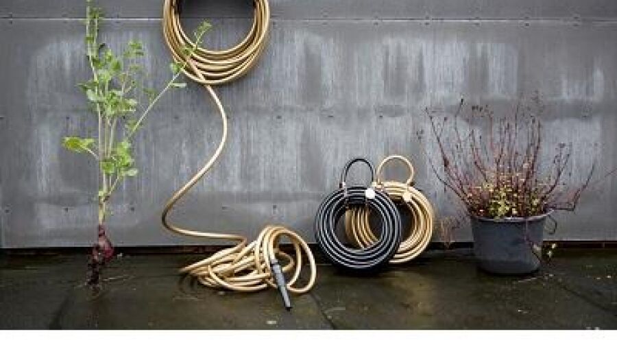 De diva voor in je tuin