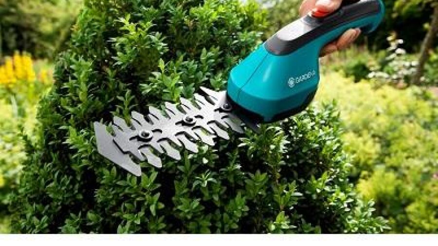 Knippen, scheren en trimmen in de tuin