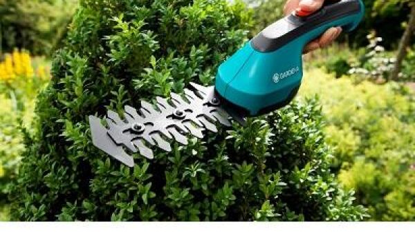 Knippen, scheren en trimmen in de tuin