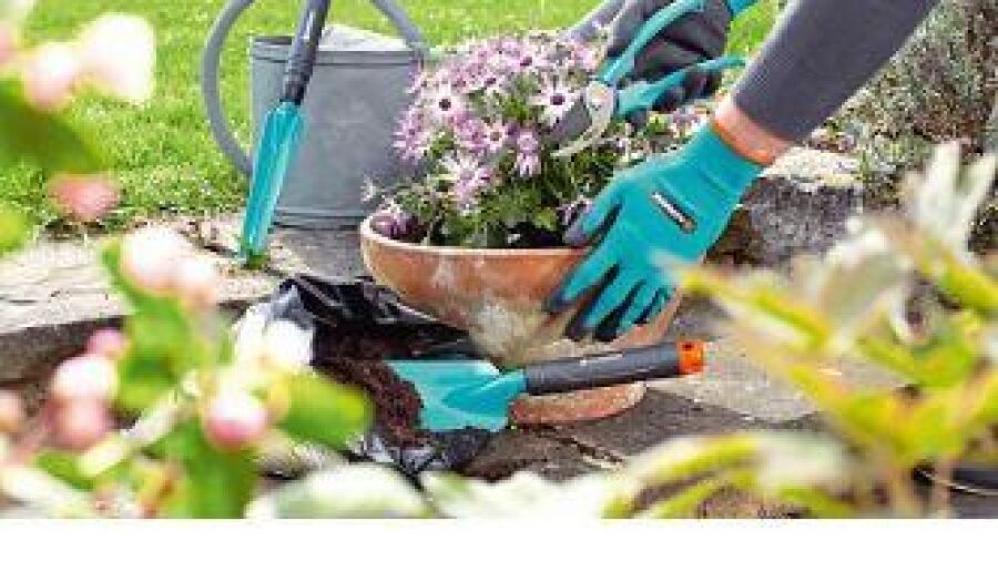 Handige tuinset voor starters