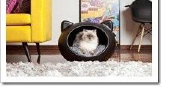 Guisapet Cave: dí© ultieme slaapplek voor honden en katten