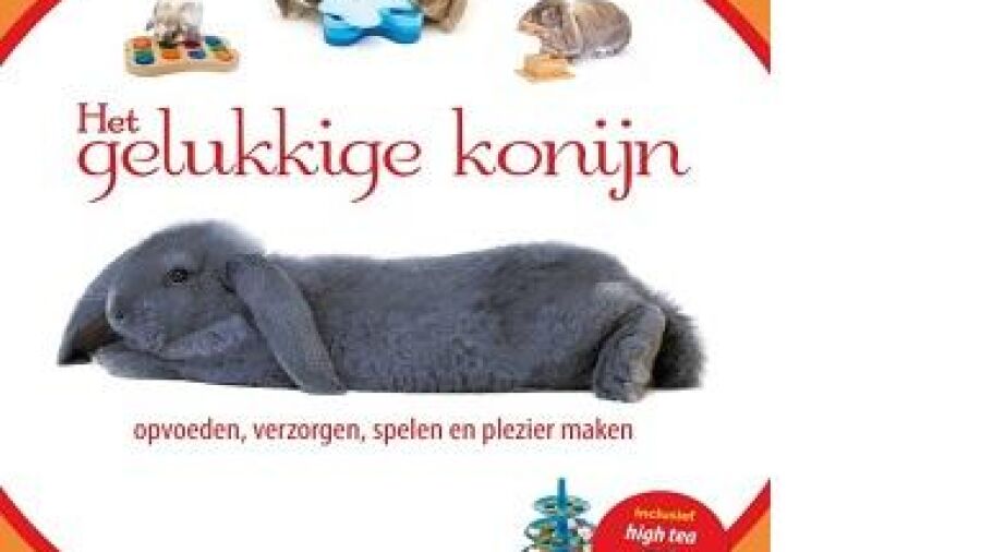 Het gelukkige konijn