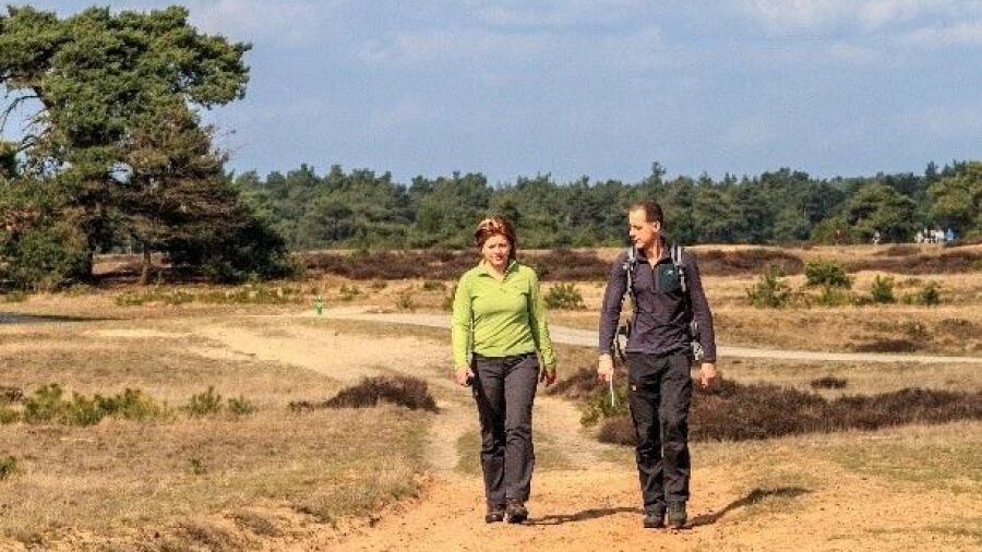 Wandelen en hardlopen op De Hoge Veluwe