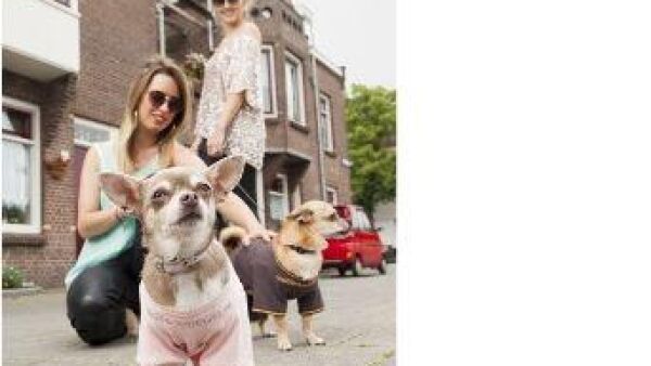 Eerste honden in hondenhuispak gesignaleerd