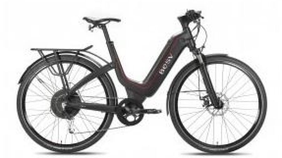 Robuuste e-bike met power en souplesse