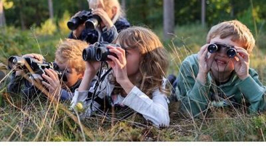Junior Natuur Expeditie kinderevenement in de natuur