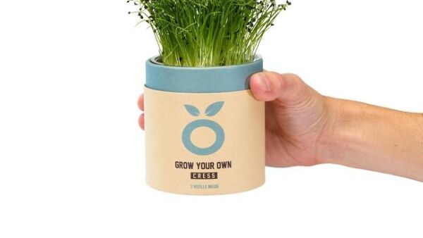 Cress uit eigen koker