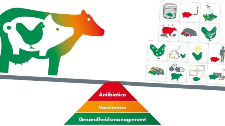 Een gezonde veestapel met de gezondheidswip