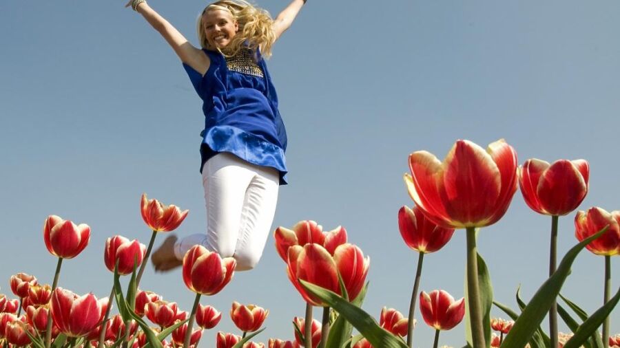 Noordwijk in het voorjaar: Lentekriebels!