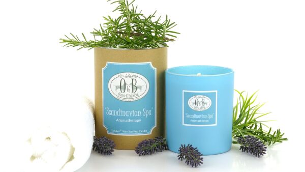 Winter Wellness met í¢äåìScandinavian Spaí¢äåä¢