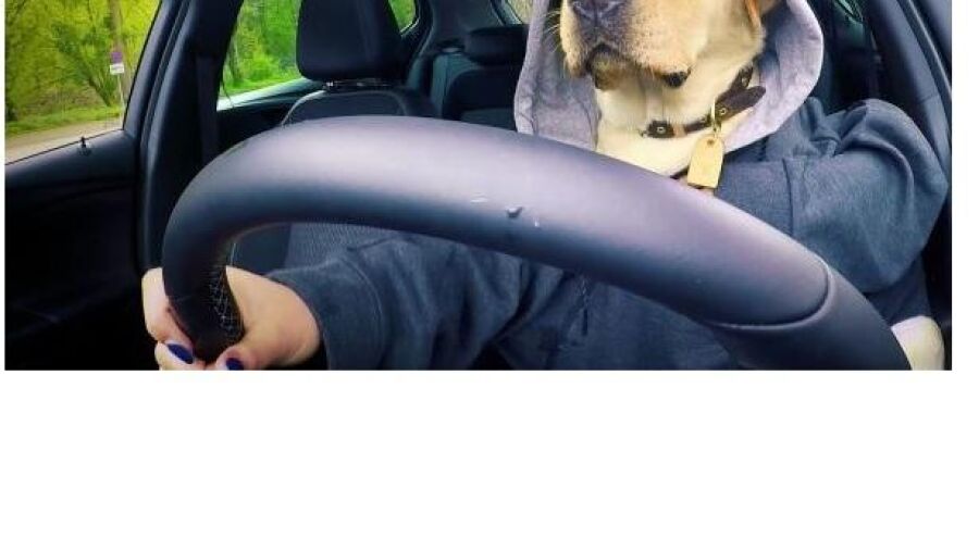 Betaal een nieuwe Opel met YouTube views