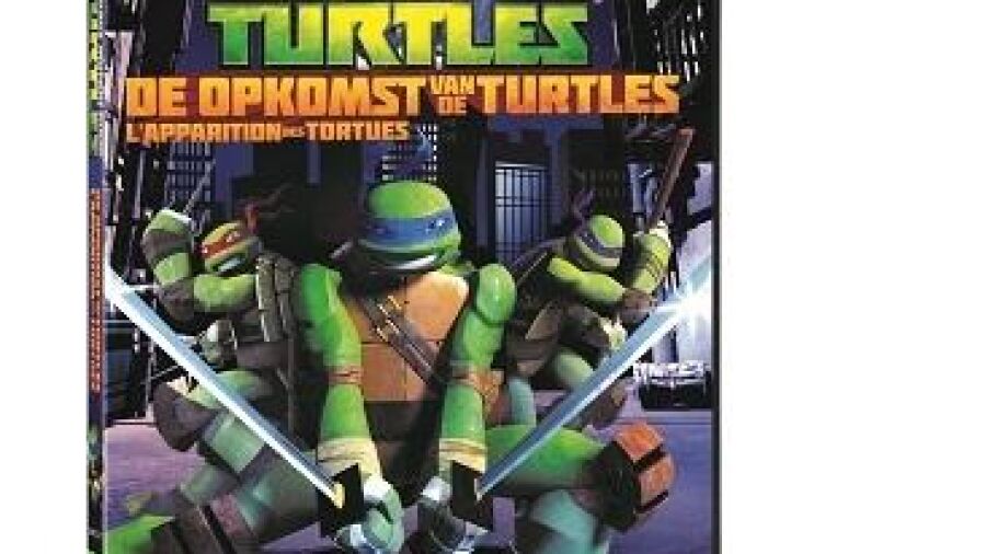 De opkomst van de Turtles