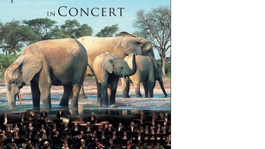 Planet Earth in concert