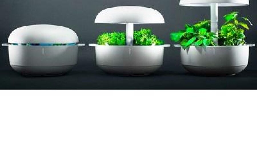 Plantui; de indoor moestuin