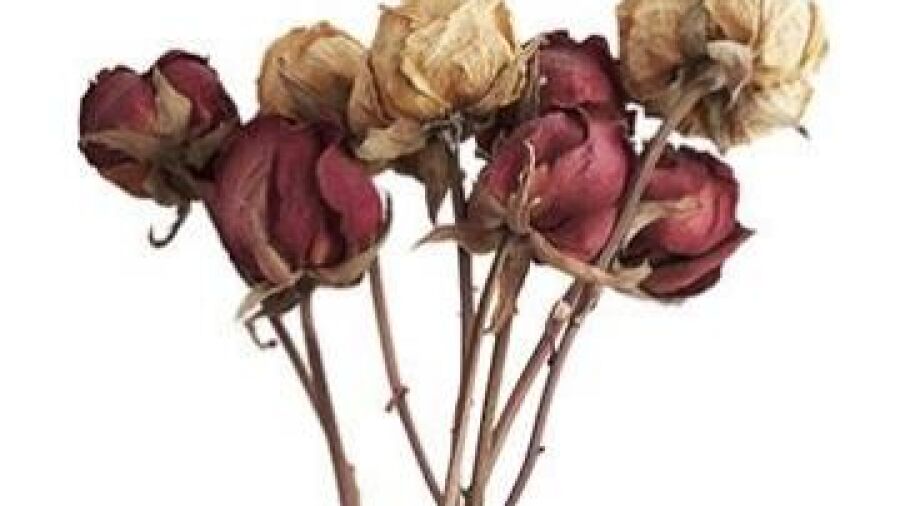 Dump je geliefde op Valentijnsdag met verwelkte bloemen van Pleuropíæ