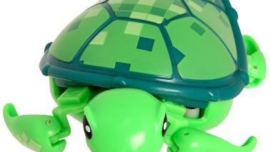 Schattige en kleurrijke schildpadden als huisdier