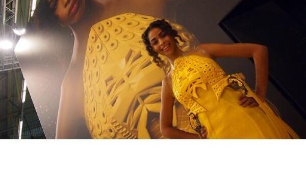 Somfy introduceert met Smart Dress í¢äåìThe Art of Motioní¢äåä¢