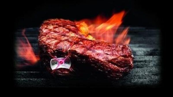 Steak Champ: altijd een perfecte steak