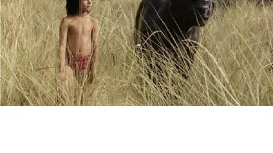 Disney The Jungle Book í¢äåäóì Official Teaser Trailer