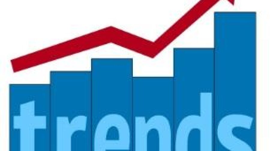 HOT-NOT 2017: De radicale identiteit