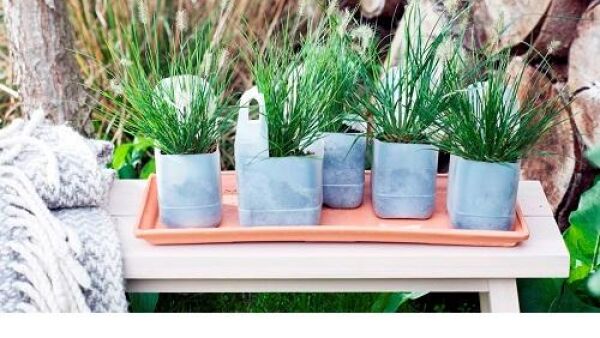Sierlijke tuinborstels
