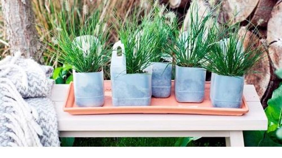 Sierlijke tuinborstels