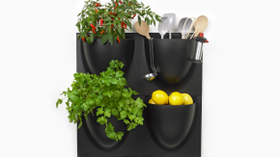 Breng wat sfeer in huis en pimp je muur met de plantenpotten